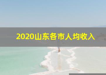 2020山东各市人均收入