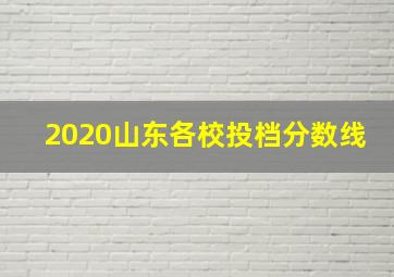 2020山东各校投档分数线