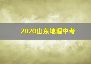 2020山东地理中考