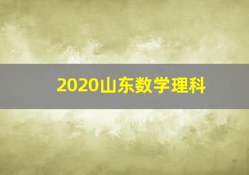 2020山东数学理科