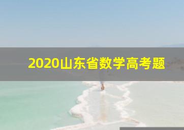 2020山东省数学高考题