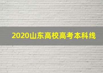 2020山东高校高考本科线