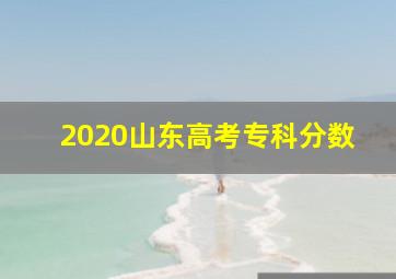 2020山东高考专科分数