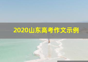 2020山东高考作文示例