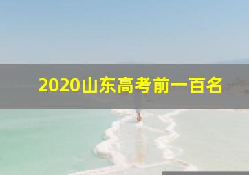 2020山东高考前一百名