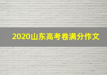 2020山东高考卷满分作文