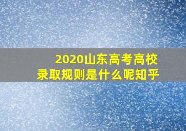 2020山东高考高校录取规则是什么呢知乎