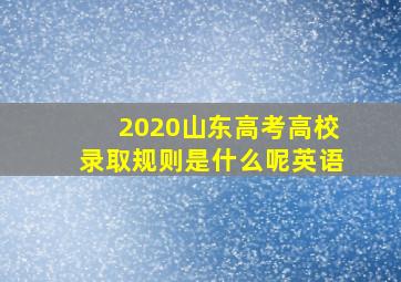 2020山东高考高校录取规则是什么呢英语