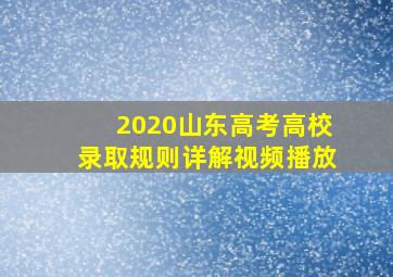 2020山东高考高校录取规则详解视频播放