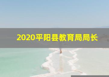 2020平阳县教育局局长