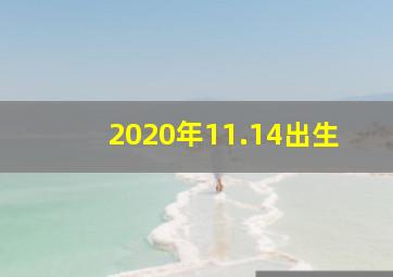 2020年11.14出生