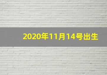 2020年11月14号出生