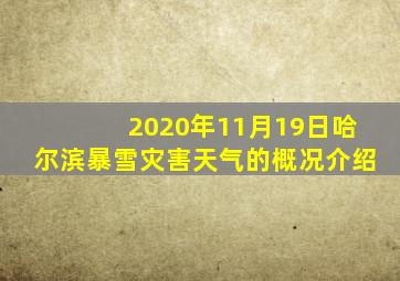 2020年11月19日哈尔滨暴雪灾害天气的概况介绍