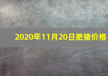 2020年11月20日肥猪价格