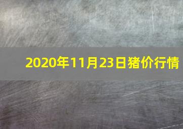 2020年11月23日猪价行情