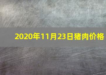 2020年11月23日猪肉价格