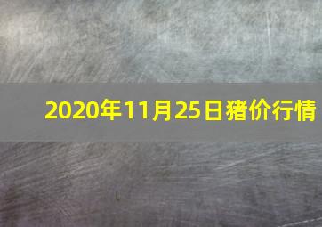 2020年11月25日猪价行情