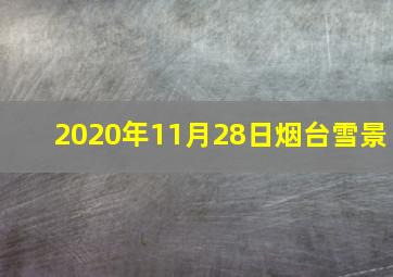 2020年11月28日烟台雪景