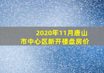 2020年11月唐山市中心区新开楼盘房价