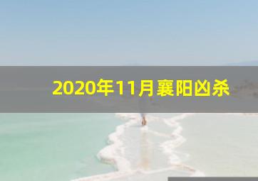 2020年11月襄阳凶杀