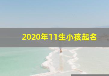 2020年11生小孩起名