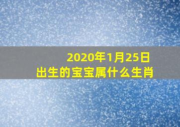 2020年1月25日出生的宝宝属什么生肖