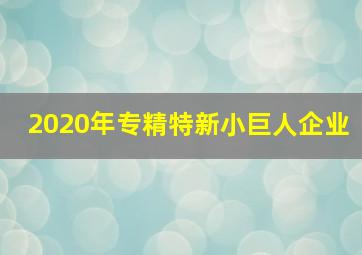 2020年专精特新小巨人企业