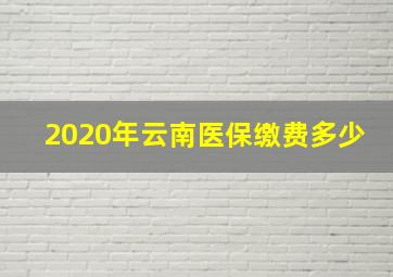 2020年云南医保缴费多少