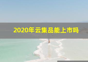 2020年云集品能上市吗