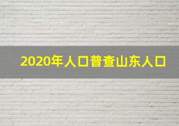 2020年人口普查山东人口