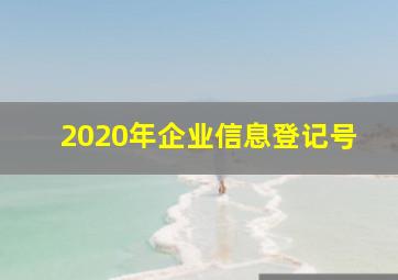 2020年企业信息登记号