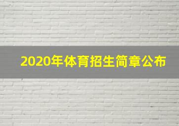 2020年体育招生简章公布