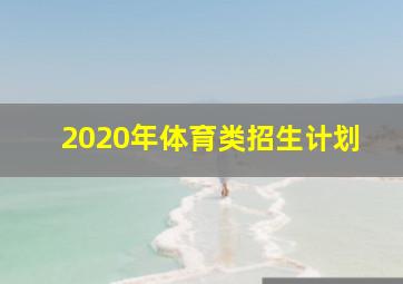 2020年体育类招生计划