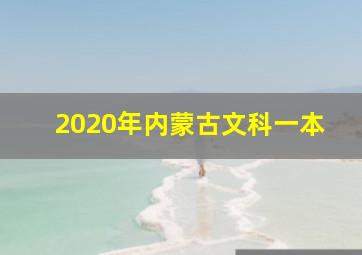 2020年内蒙古文科一本