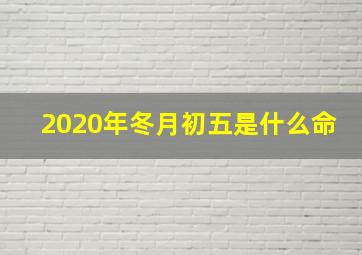 2020年冬月初五是什么命