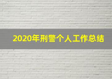 2020年刑警个人工作总结