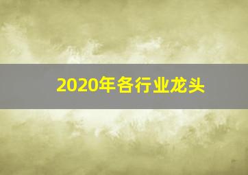 2020年各行业龙头