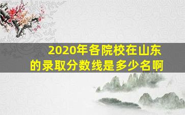 2020年各院校在山东的录取分数线是多少名啊