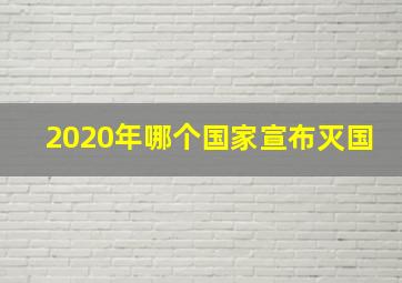 2020年哪个国家宣布灭国