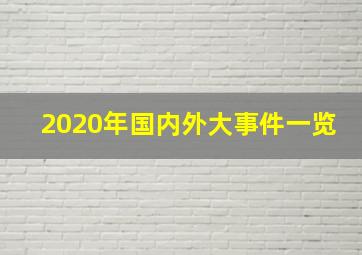 2020年国内外大事件一览