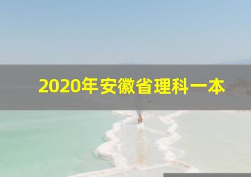 2020年安徽省理科一本