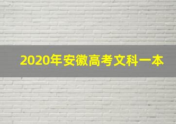 2020年安徽高考文科一本