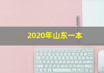 2020年山东一本