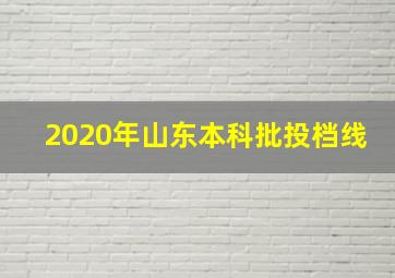 2020年山东本科批投档线