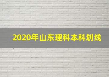 2020年山东理科本科划线