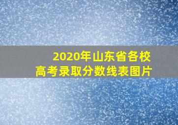 2020年山东省各校高考录取分数线表图片