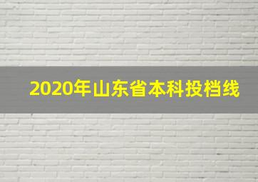 2020年山东省本科投档线