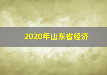 2020年山东省经济