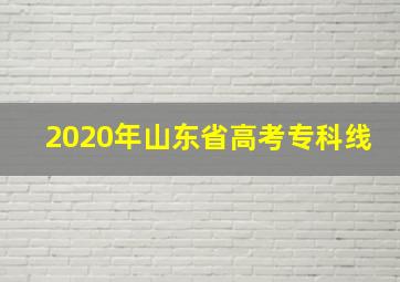 2020年山东省高考专科线