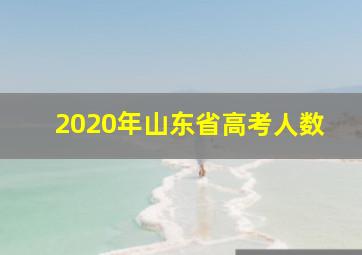 2020年山东省高考人数